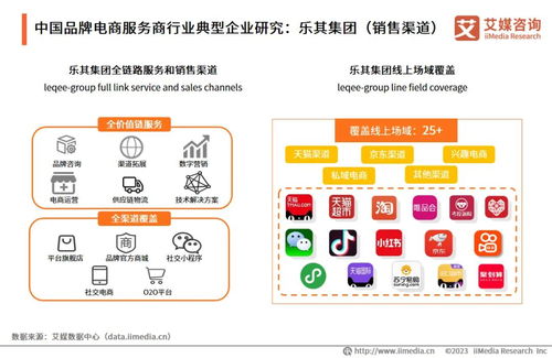 2023年中國品牌電商服務(wù)商行業(yè)研究報告 信息咨詢服務(wù)洞察
