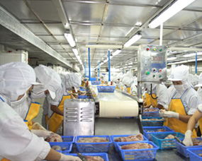 浙江省某海產(chǎn)品加工廠項(xiàng)目可行性研究報(bào)告